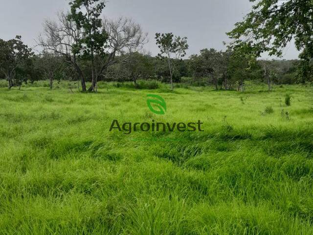 Fazenda para Venda em São Salvador do Tocantins - 5